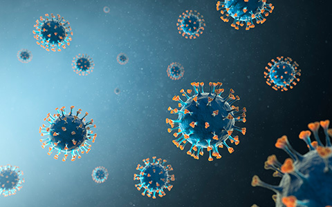 coronavirus