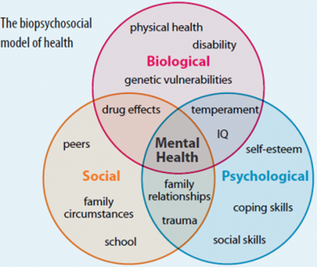 Biopsychosocial Modell