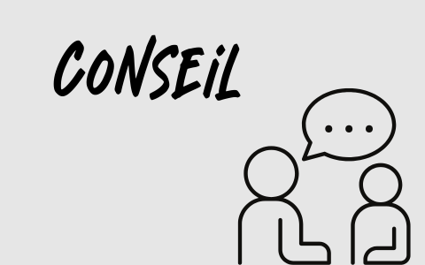 Administration des études et conseil