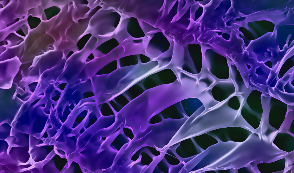 Scanning electron micrograph of a polymer layer degraded by a nanobiocatalyst