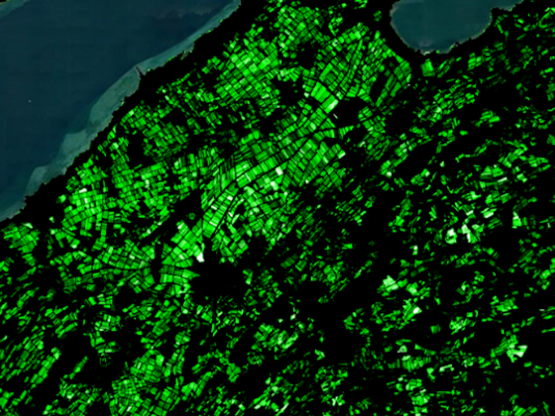 Bild von Dr. Reik Leiterer – ExoLabs GmbH/ Science Lab UZH