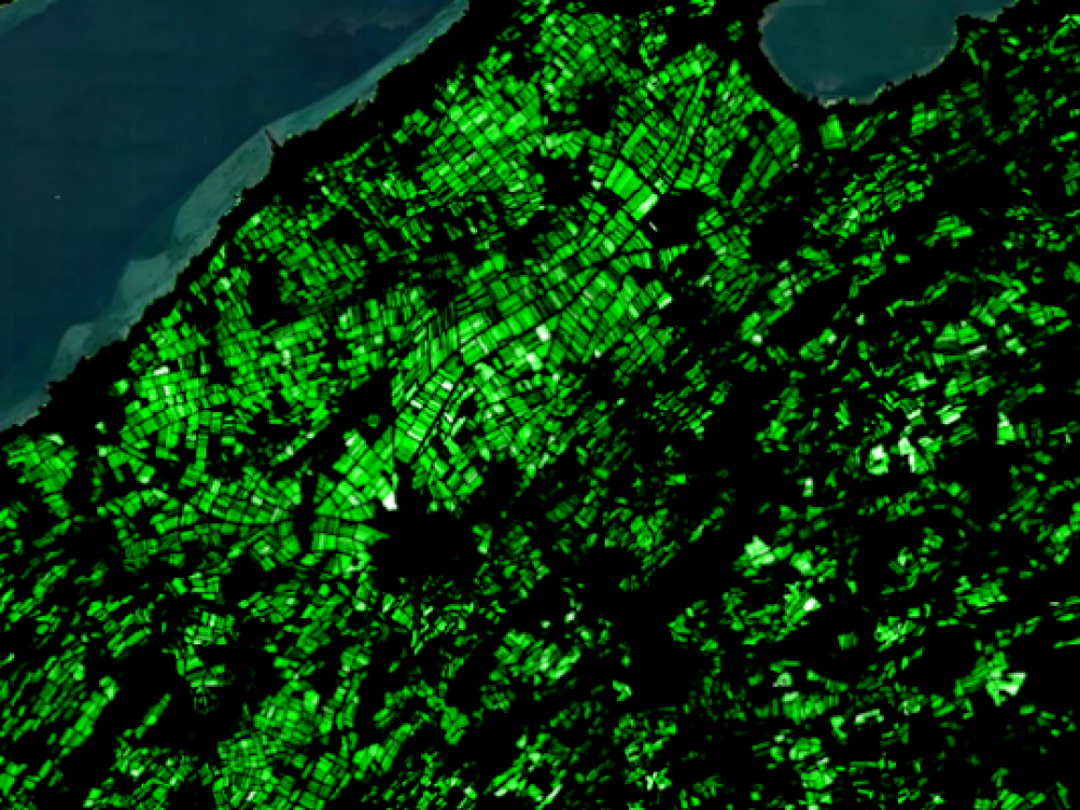 Bild von Dr. Reik Leiterer – ExoLabs GmbH/ Science Lab UZH