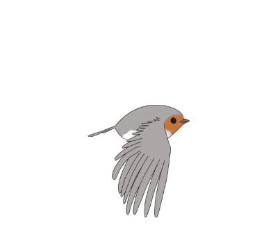 Flying Bird