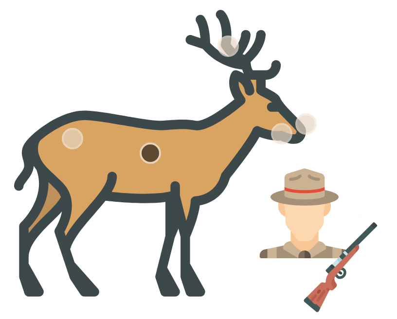 Wildtierbestand der Schweiz im Visier