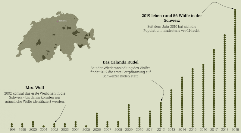 Der Wolf in der Schweiz