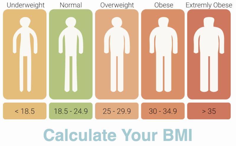 World Population - Helathy Food Facts
