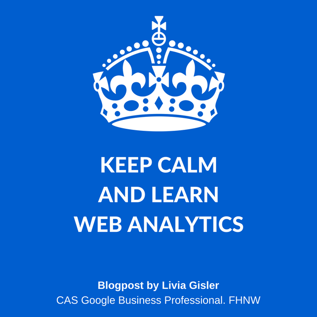 Web Analyse by Livia Gisler. CAS Google Business Professional FHNW. Studienleitung Prof Dalla Vecchia